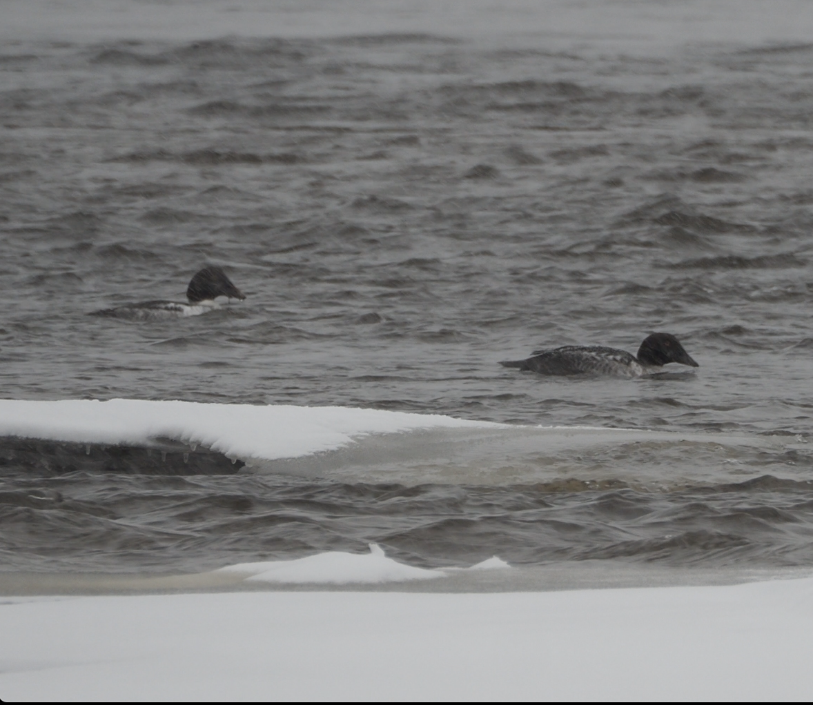 Capture d’écran, le 2025-12-07 à 21.05.57.png