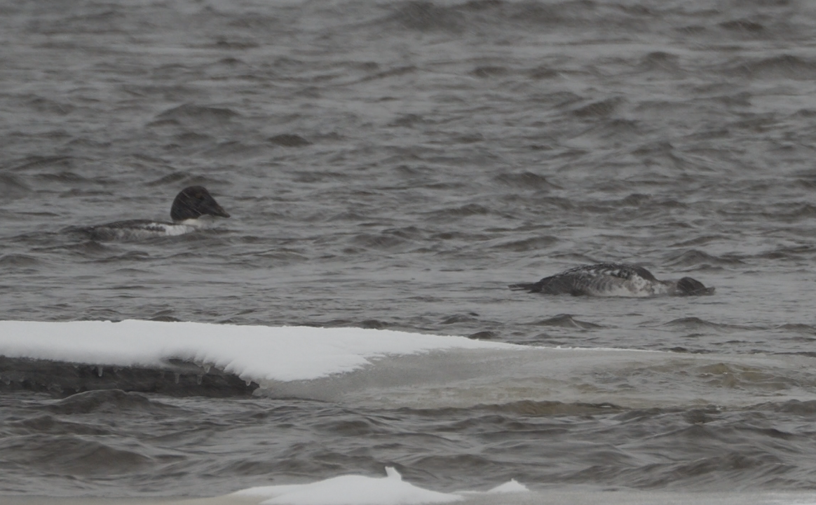 Capture d’écran, le 2025-12-07 à 21.08.26.png